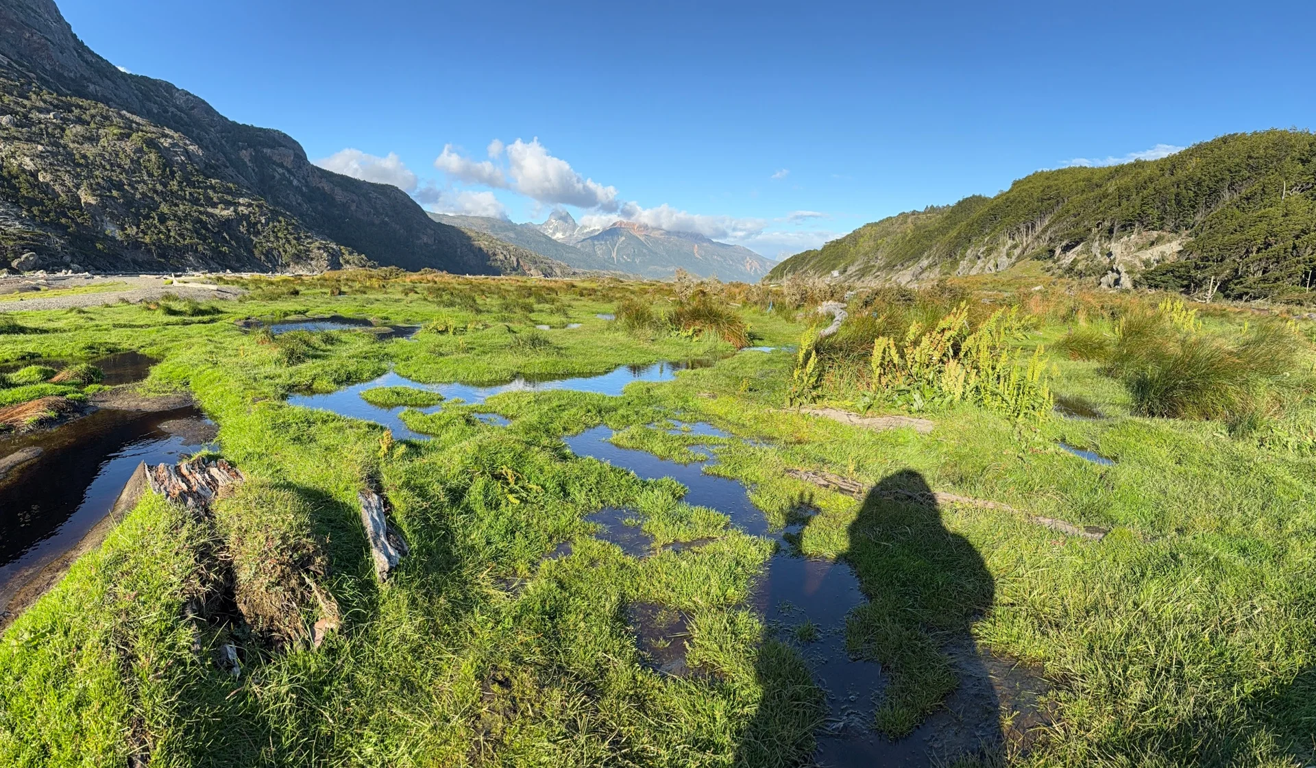 Patagonia! Glaciers, Fjords, & Wildlife Aboard the National Geographic Resolution