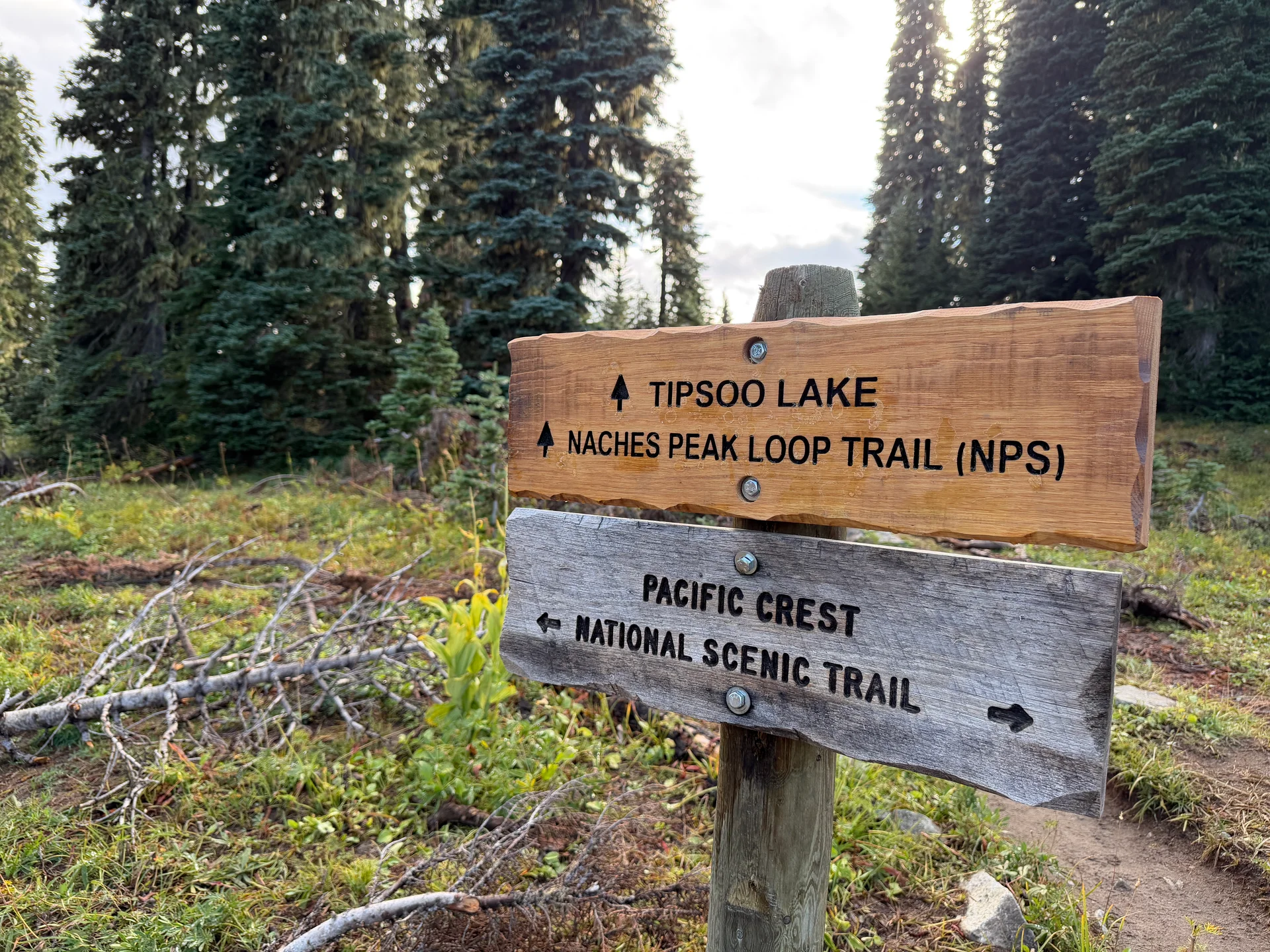 A wooden trail signpost for Tipsoo Lake, Naches Peak Loop, and the Pacific Crest Trail