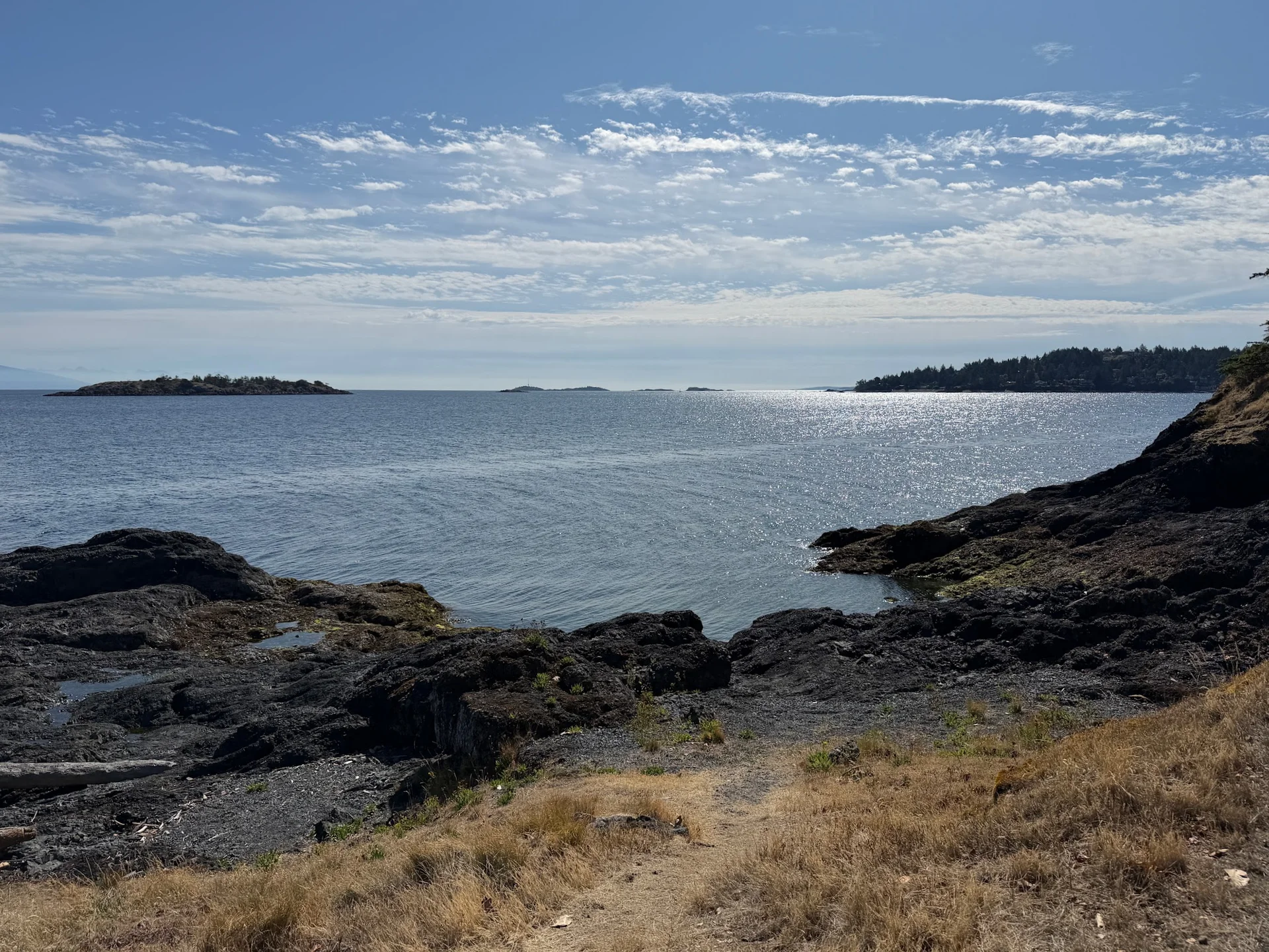 View from the top of the Madrona shore entry looking out over the water