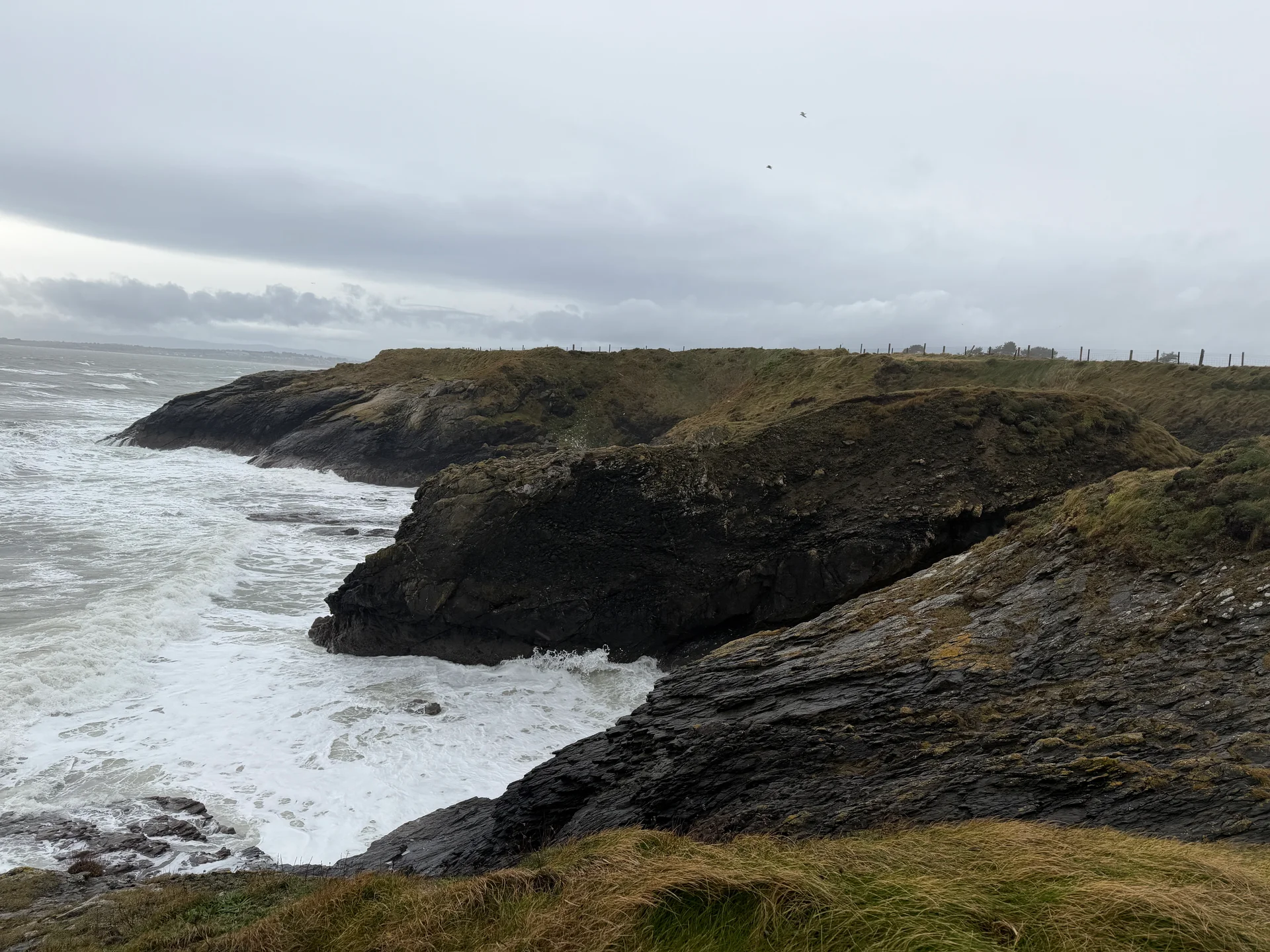 Snowstorms, Saunas, and Tactical Retreats