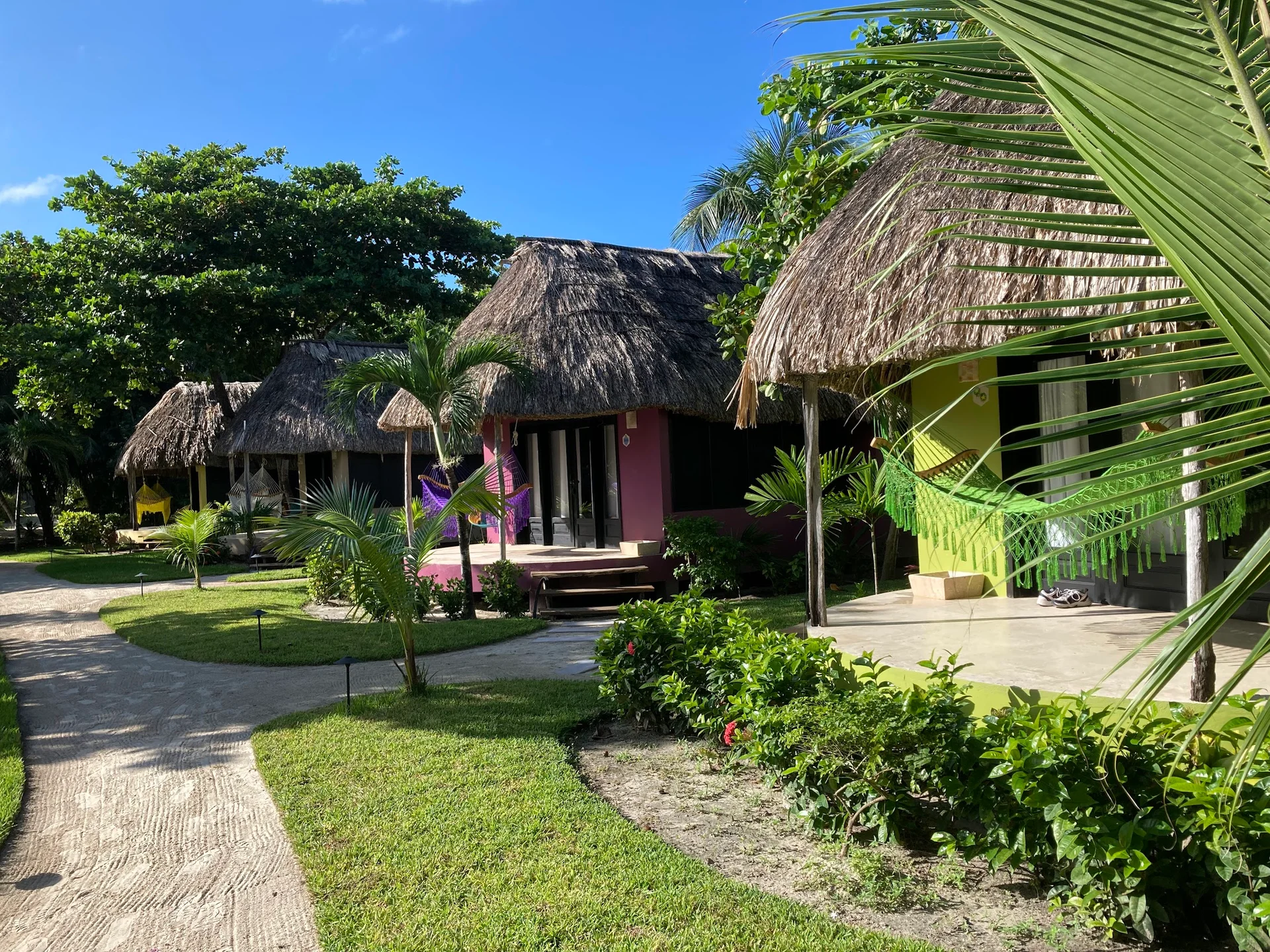 Thanksgiving in Paradise!