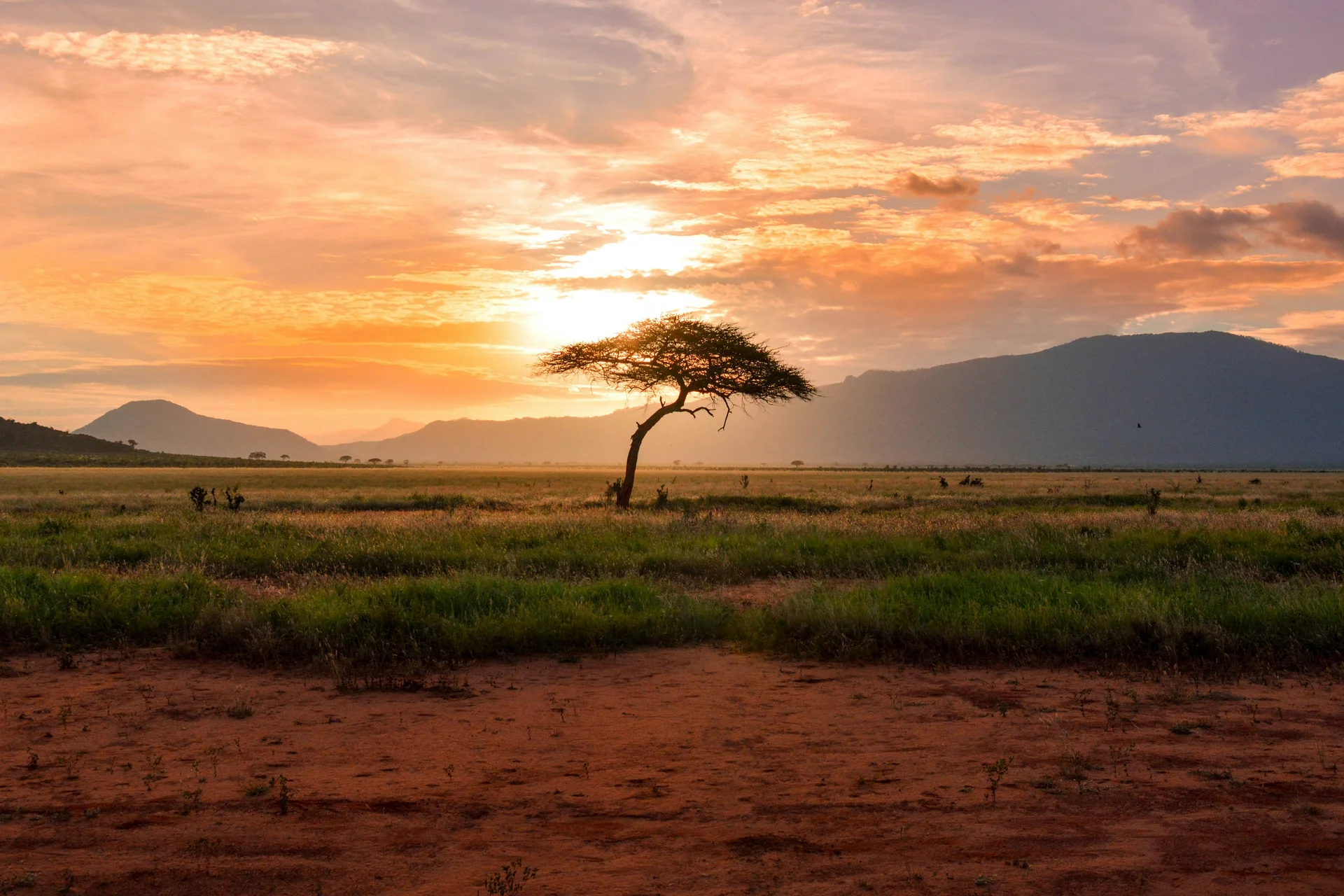Southern Africa